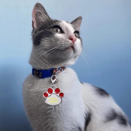 Paw-shaped pet collar pendant